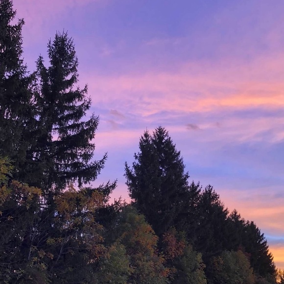 Meet your Posher, E🌸 - Picture 12 of 15